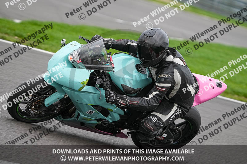 03-02-2019 Grantham Pegasus Trial Stainby;donington no limits trackday;donington park photographs;donington trackday photographs;enduro digital images;eventdigitalimages;no limits trackdays;peter wileman photography;trackday digital images;trackday photos
